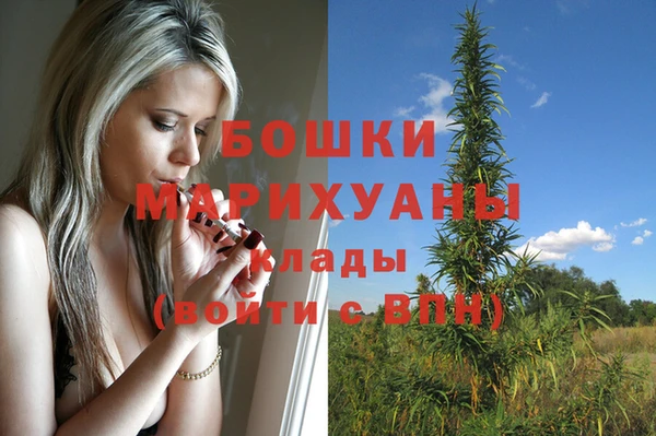 мдпв Козловка