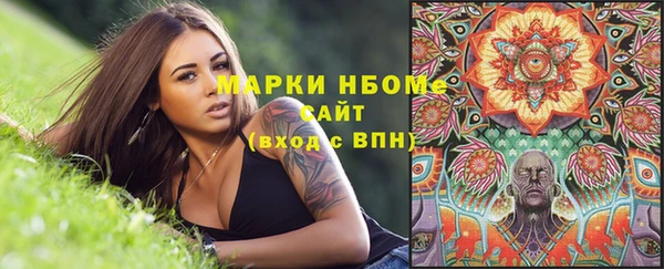 мдпв Козловка
