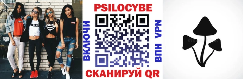Галлюциногенные грибы Psilocybe  Ильский 